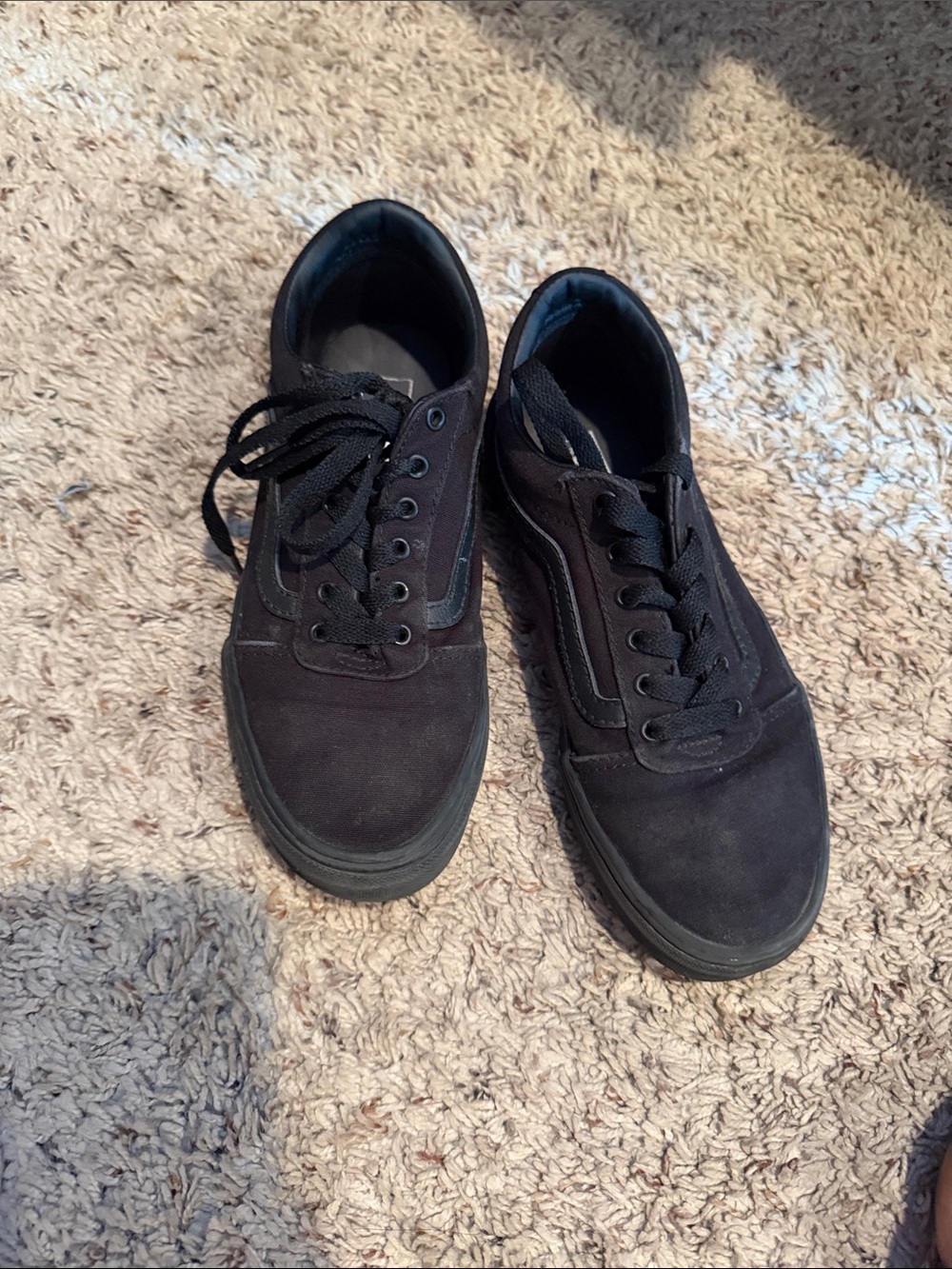 Vans Men’s Black Suede Low-Top Skate Sneakers